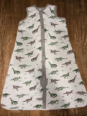 Burt's Bees Dinosaur Sleep Sack - Green & Brown Print